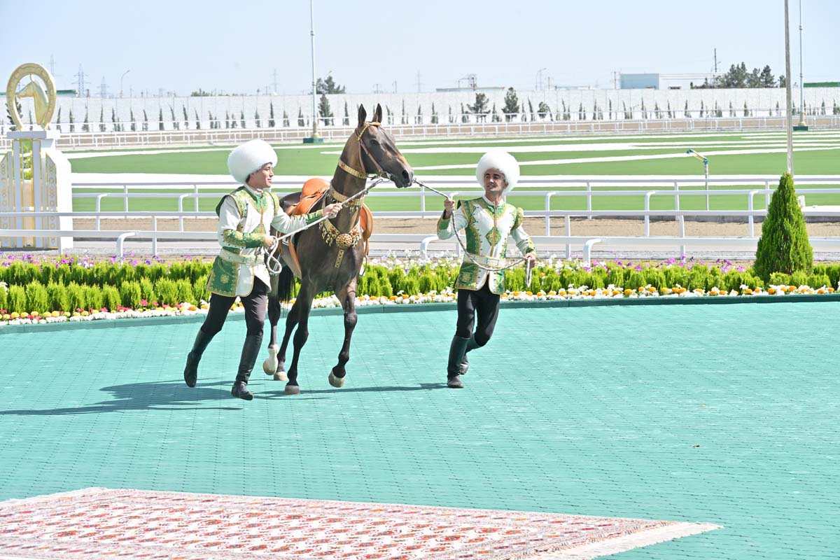 President of Turkmenistan took part in festivities on the occasion of the national holiday of the Turkmen horse